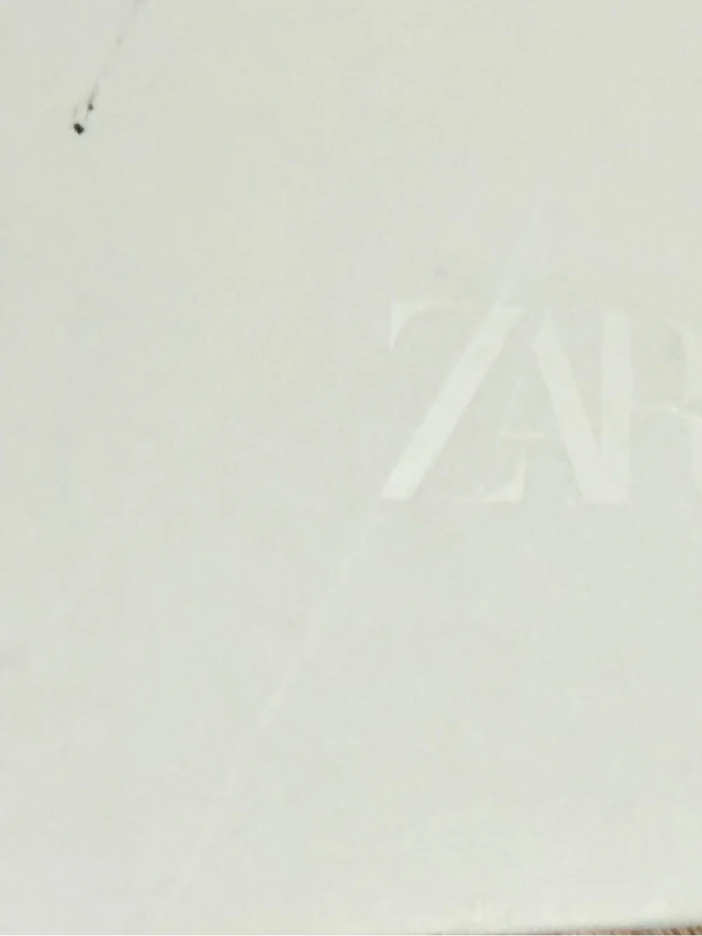 ZARA Men's Rectangular Acetate Polarized Sunglasses Black NWT